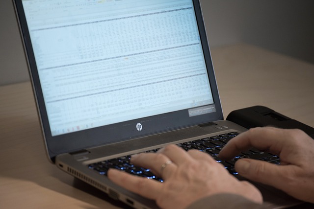 A hand typing into a laptop that has a spreadsheet open (By Aksel Lian from Pixabay - https://pixabay.com/photos/financial-planning-finance-business-4010999/)